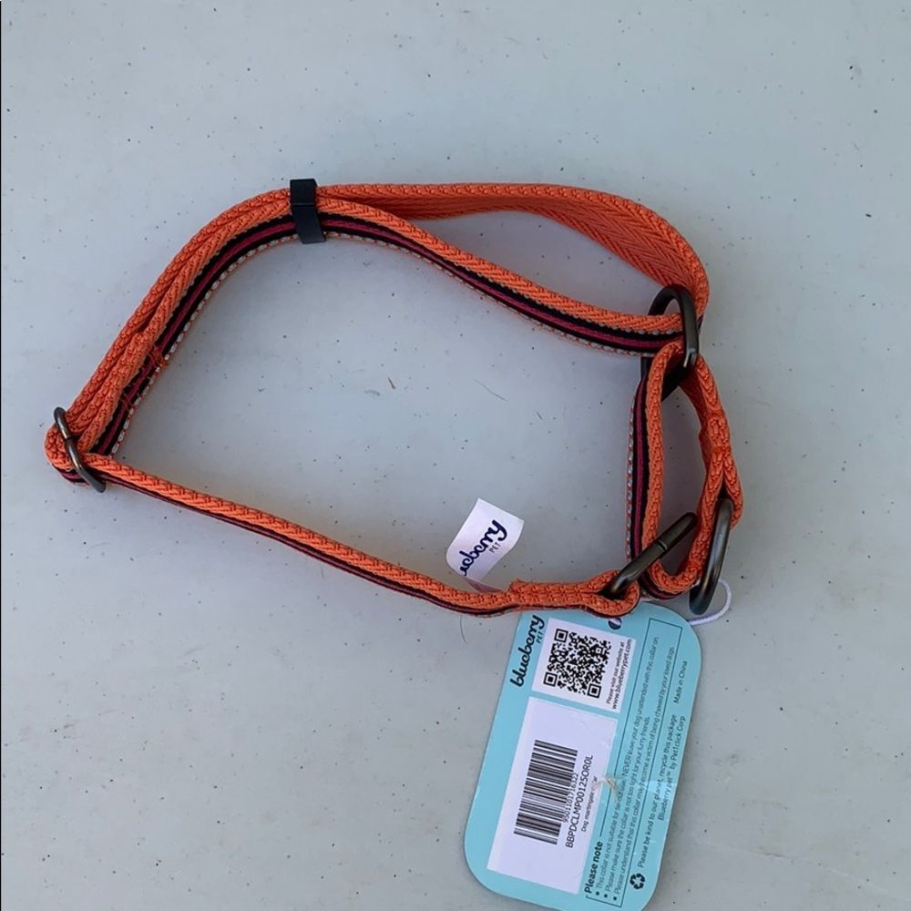 Blueberry Pet NWT dog collar orange Large